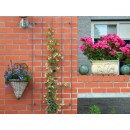 5 Treillis m&eacute;tallique d&eacute;coratif Metalex Nature H 145 x 72,5 cm acier galvanis&eacute; plastifi&eacute; vert