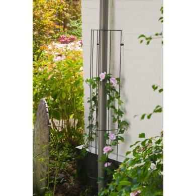 Treillis métallique décoratif Metalex acier galvanisé plastifié vert forme de ½ cercle H 145 x 18 cm