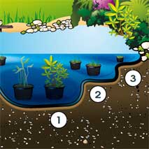 profondeur du bassin de jardin