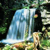 Cascade pour bassin de jardin