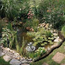 pompe xtra pour bassin de jardin
