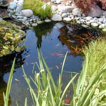 Filtration pour bassin de jardin (2)