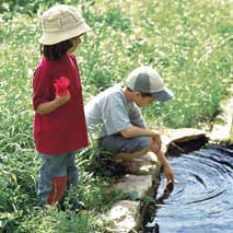 aliments poissons pour bassin de jardin