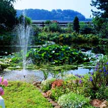 elimax pompe de bassin de jardin