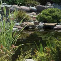 Filtration pour bassin de jardin (4)